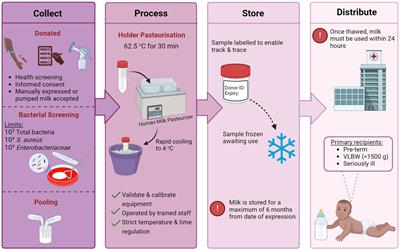 Donor human milk: the influence of processing technologies on its nutritional and microbial composition